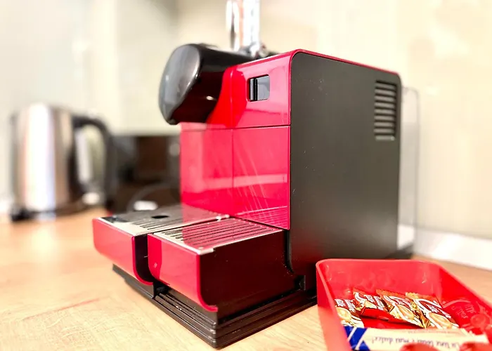 Two Chic * טימישוארה